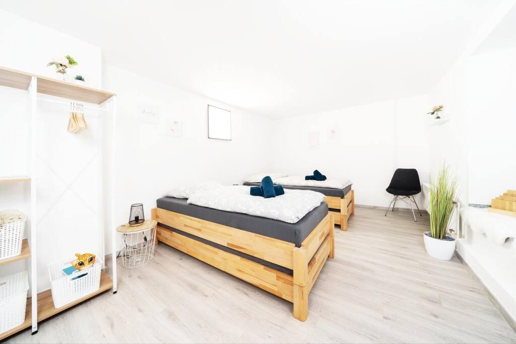 Messe Ausstattung Netflix Wlan *